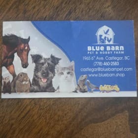 Blue Barn Doggy Basket item