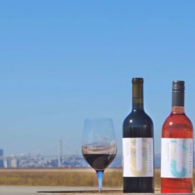 Urban Legend Cellar: A Tasting for 4 Participants (Copy) item