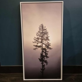 Steven Wells Photography ~ Merry Creek item