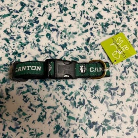 Dog Collar item