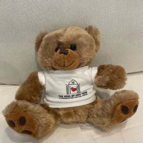 Shuli, the Shul Teddy Bear item