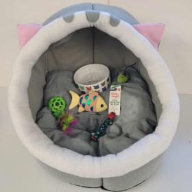 Cat package value $45 item