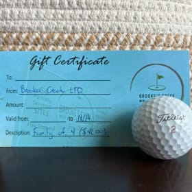 Brooke"s Creek Mini Golf #1 item