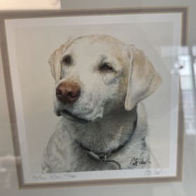 32. “Mellow Yellow” by Peter Hanks item