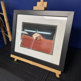 39. Framed Photo by Ron Schmidt item