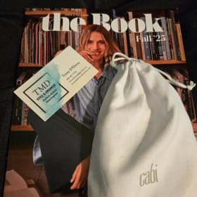 #13 CAbi Triple Strand Matte Silver Necklace and Earrings item