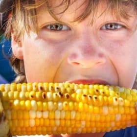 Corn item