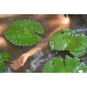 MudLight by Kahayag item