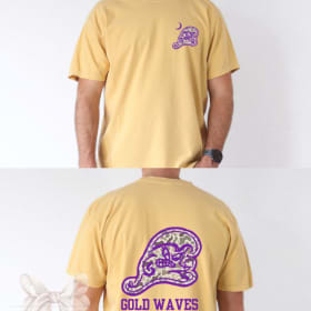 DMS T-Shirt       SIZE: SMALL item