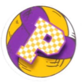 DMS Volleyball Sticker item