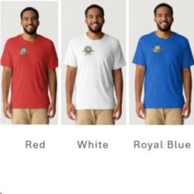 T-shirt item