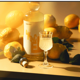 π $300 Gift Card to any Banda Volpi Restaurant item