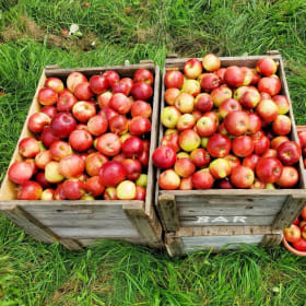 Certificat-cadeau - Verger Heath Orchard item