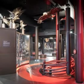 Abonnement familial - Musée de la nature et des sciences item