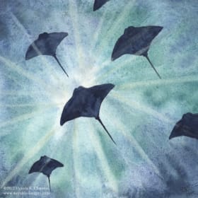 "Rays of Light" Signed Print by Victoria Chapman item