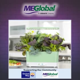 Aero Garden In Home Garden System item