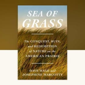 "Sea of Grass" book item