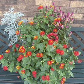 Fall Planter item