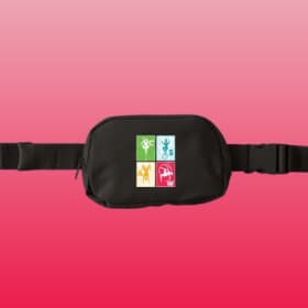 CSAW Fanny Pack item