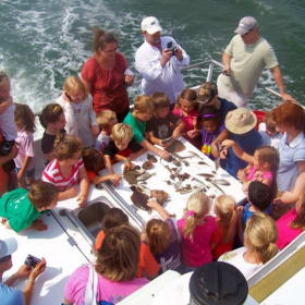 Myrtle Beach - Dolphin Cruise for 2 item
