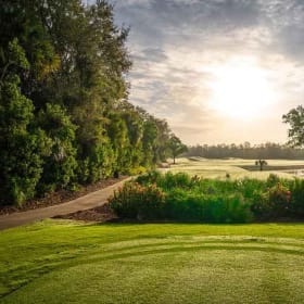 Golf Foursome at Heritage Palms & The Club at Renaissance item