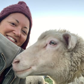 Wool-filled pillow from Jóia Sleep item