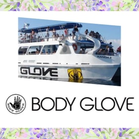 Body Glove - Deluxe Snorkel & Dolphin Tour for Two item