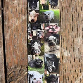 Sanctuary Bookmark (Regular) item