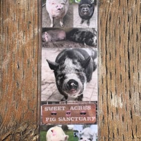 Sanctuary Bookmark (Laminated) item