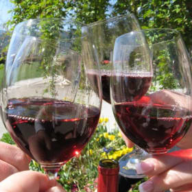 🍷 Napa Valley Escape – Wine Tour or Hot Air Balloon Ride item