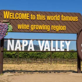 🍷 Napa Valley Escape – Wine Tour or Hot Air Balloon Ride item