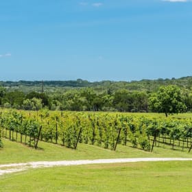 🍇 Texas Hill Country Wine Retreat in Johnson City for 4 item