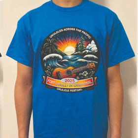 Festival T-shirt - Grey, Black and Light Blue item