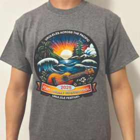 Festival T-shirt - Grey, Black and Light Blue item