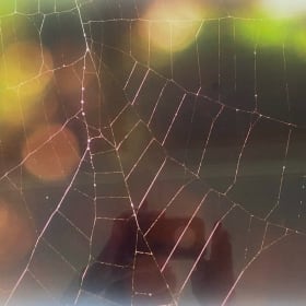 "Silk Web", Shelter Island, NY item