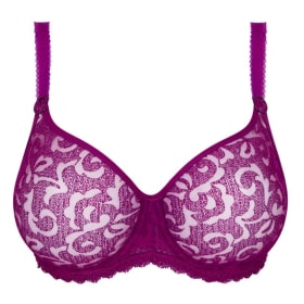 π Gift Card to Dianeβs Lingerie item