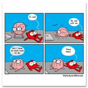 Awkward Yeti "Be Sad With Me" item