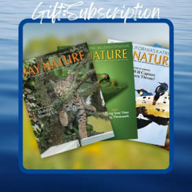 Membership & Subscription to Bay Nature Magaine item