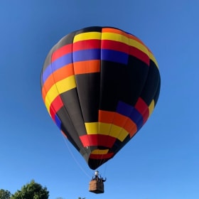 Balloons Over Bloomington (1 ride for 1 person) item