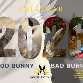 2026 Good Bun / Bad Bun Calendar item