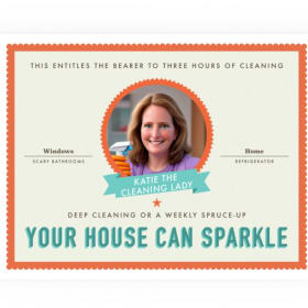 Katie the Cleaning Lady — 3-Hour Home Cleaning item