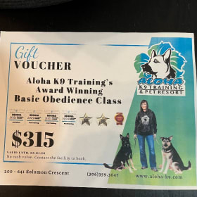 Sit, Stay & Bid! item