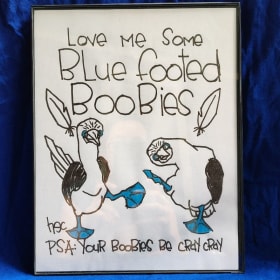Blue Footed Boobies Art Print item