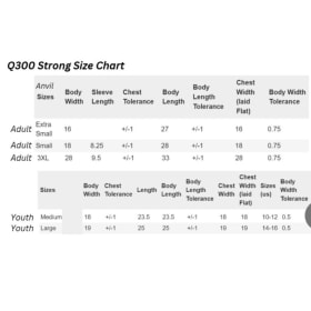 Q300 Strong T-Shirt (Adult 3XL) item