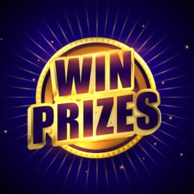 Pick a Brush (1 Brush) item