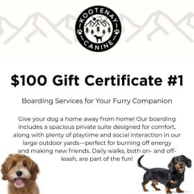 $100 Gift Certificate for Kootenay Canine Adventures #1 item
