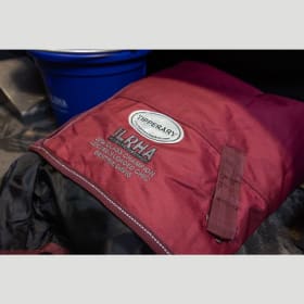 Horse Blanket item