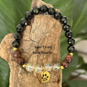 T2-5G (Gold Paw) item