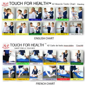 42 Touch for Health muscle test chart in Letter size item