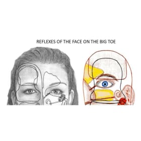 What's in the BIG TOE - Self-help Video item